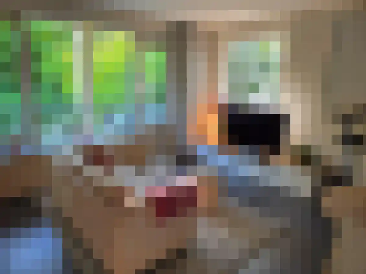 Edelvalk 2 Veenendaal thumbnail 6