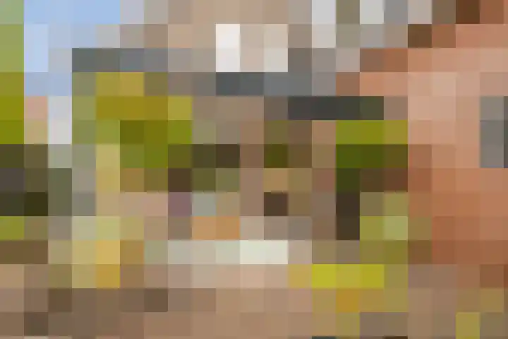 Edelvalk 42 Veenendaal thumbnail 31
