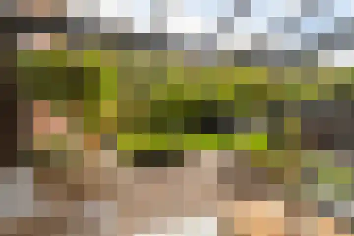 Edelvalk 42 Veenendaal thumbnail 32
