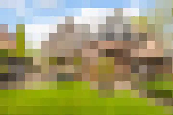 Edelvalk 42 Veenendaal thumbnail 34