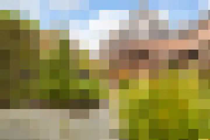 Edelvalk 42 Veenendaal thumbnail 35