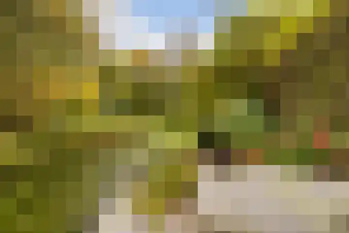 Edelvalk 42 Veenendaal thumbnail 36