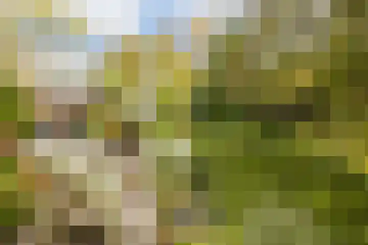 Edelvalk 42 Veenendaal thumbnail 37