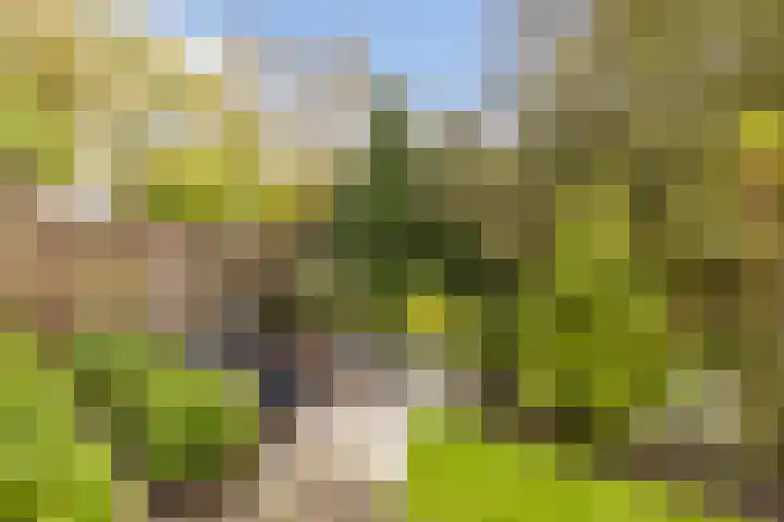 Edelvalk 42 Veenendaal thumbnail 38