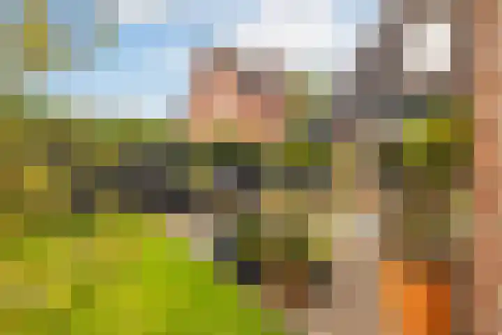 Edelvalk 42 Veenendaal thumbnail 39