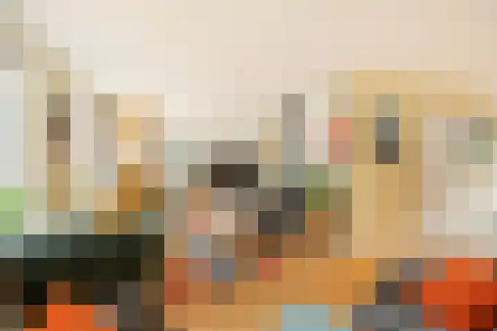 Edelvalk 42 Veenendaal thumbnail 4