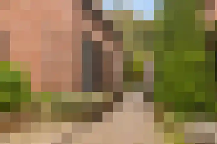 Edelvalk 42 Veenendaal thumbnail 40
