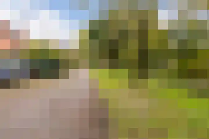 Edelvalk 42 Veenendaal thumbnail 44
