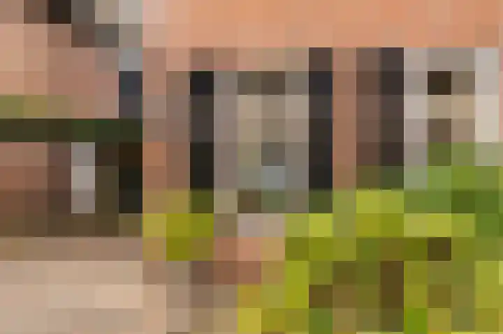 Edelvalk 42 Veenendaal thumbnail 45