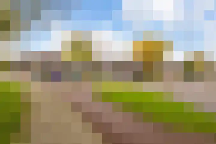 Edelvalk 42 Veenendaal thumbnail 46