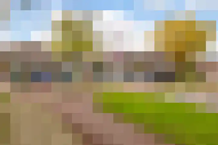 Edelvalk 42 Veenendaal thumbnail 47