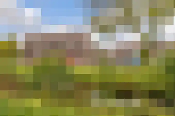 Edelvalk 42 Veenendaal thumbnail 48