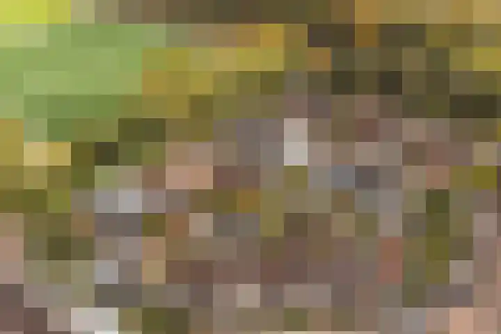 Edelvalk 42 Veenendaal thumbnail 51