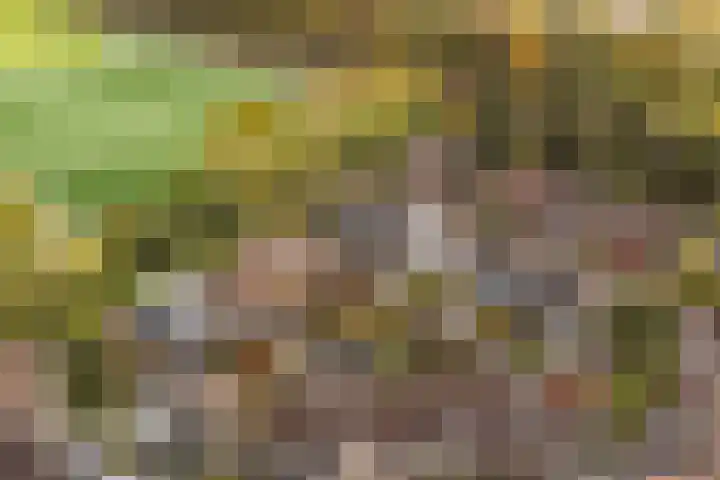 Edelvalk 42 Veenendaal thumbnail 52