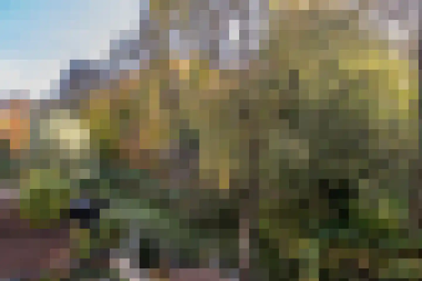 Edelvalk 8 Veenendaal thumbnail 10