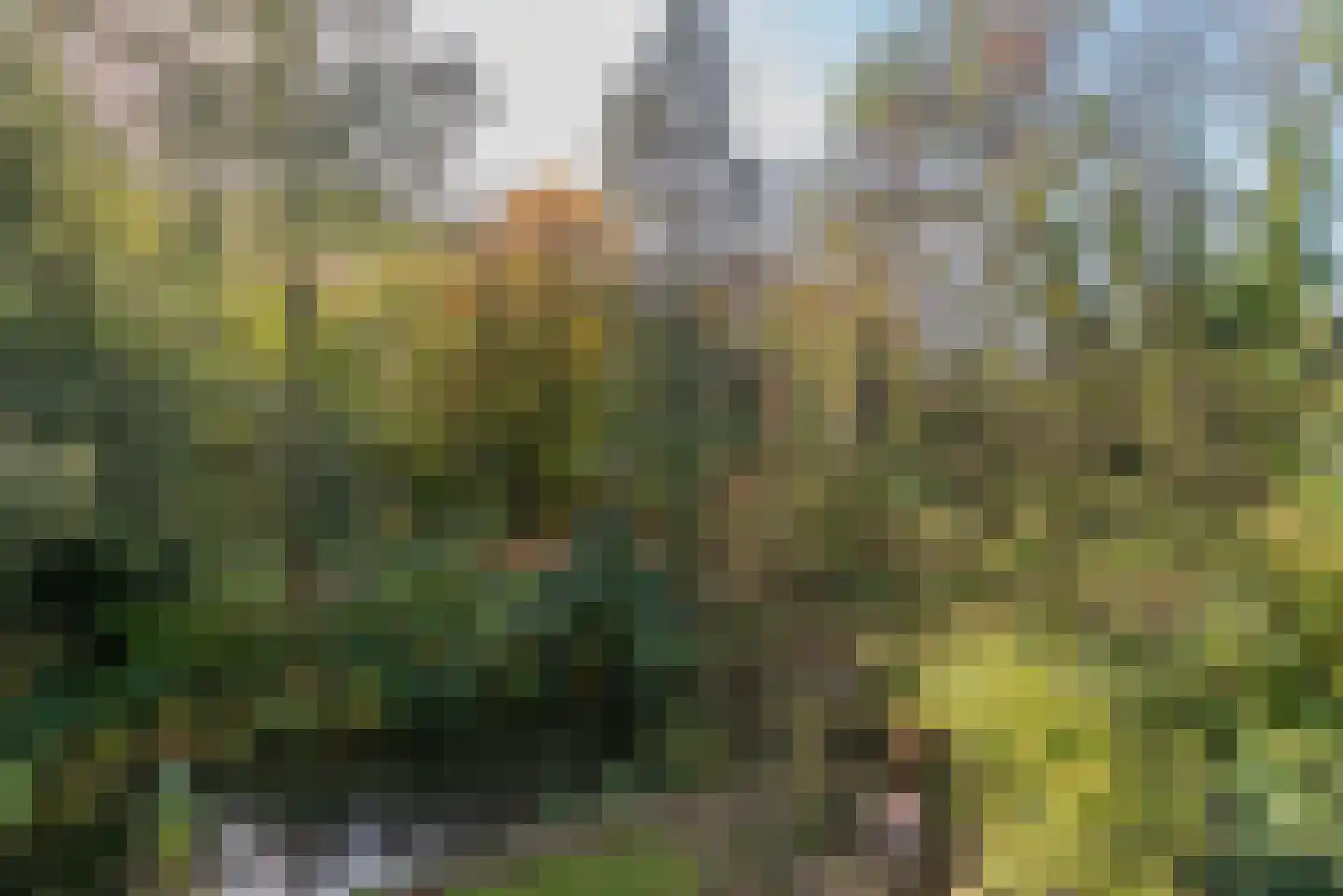 Edelvalk 8 Veenendaal thumbnail 9