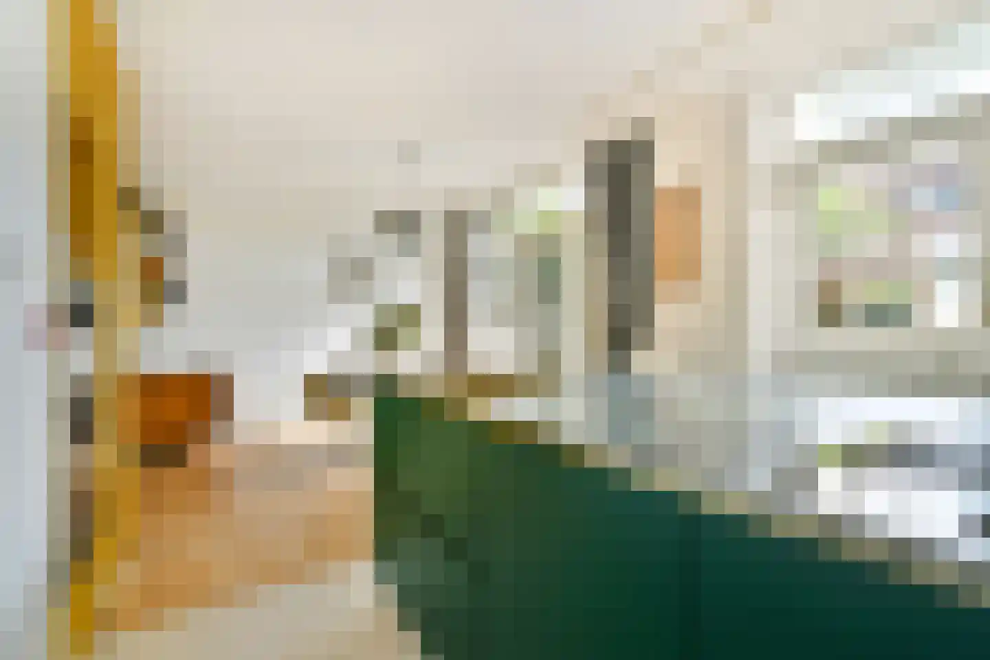 Edelweisslaan 16 Rotterdam thumbnail 17