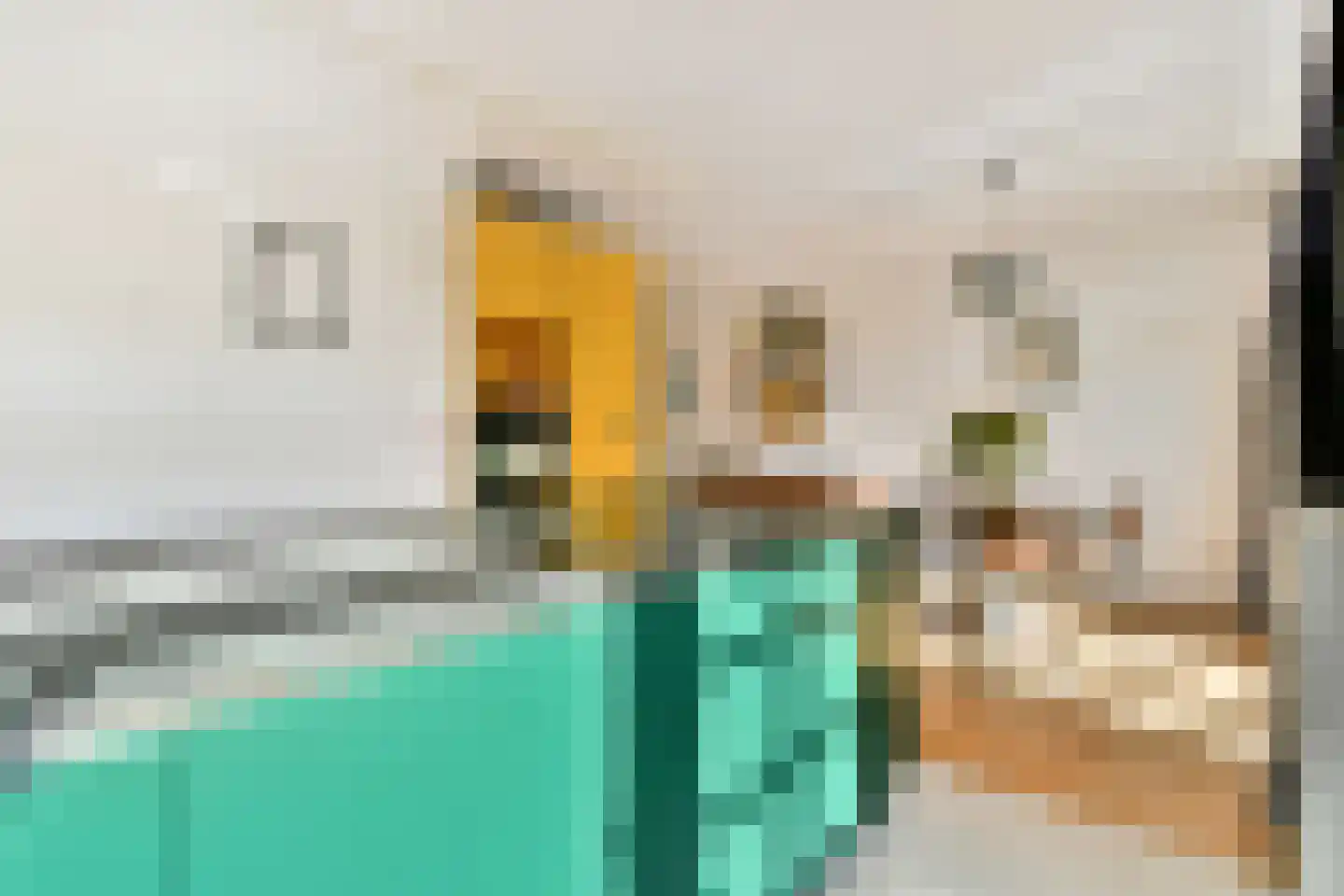 Edelweisslaan 16 Rotterdam thumbnail 19