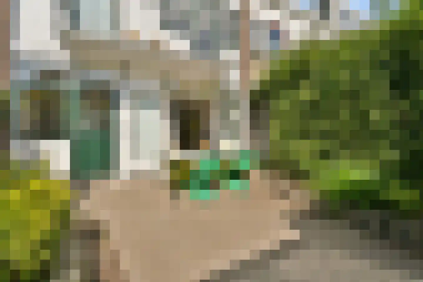 Edelweisslaan 16 Rotterdam thumbnail 22