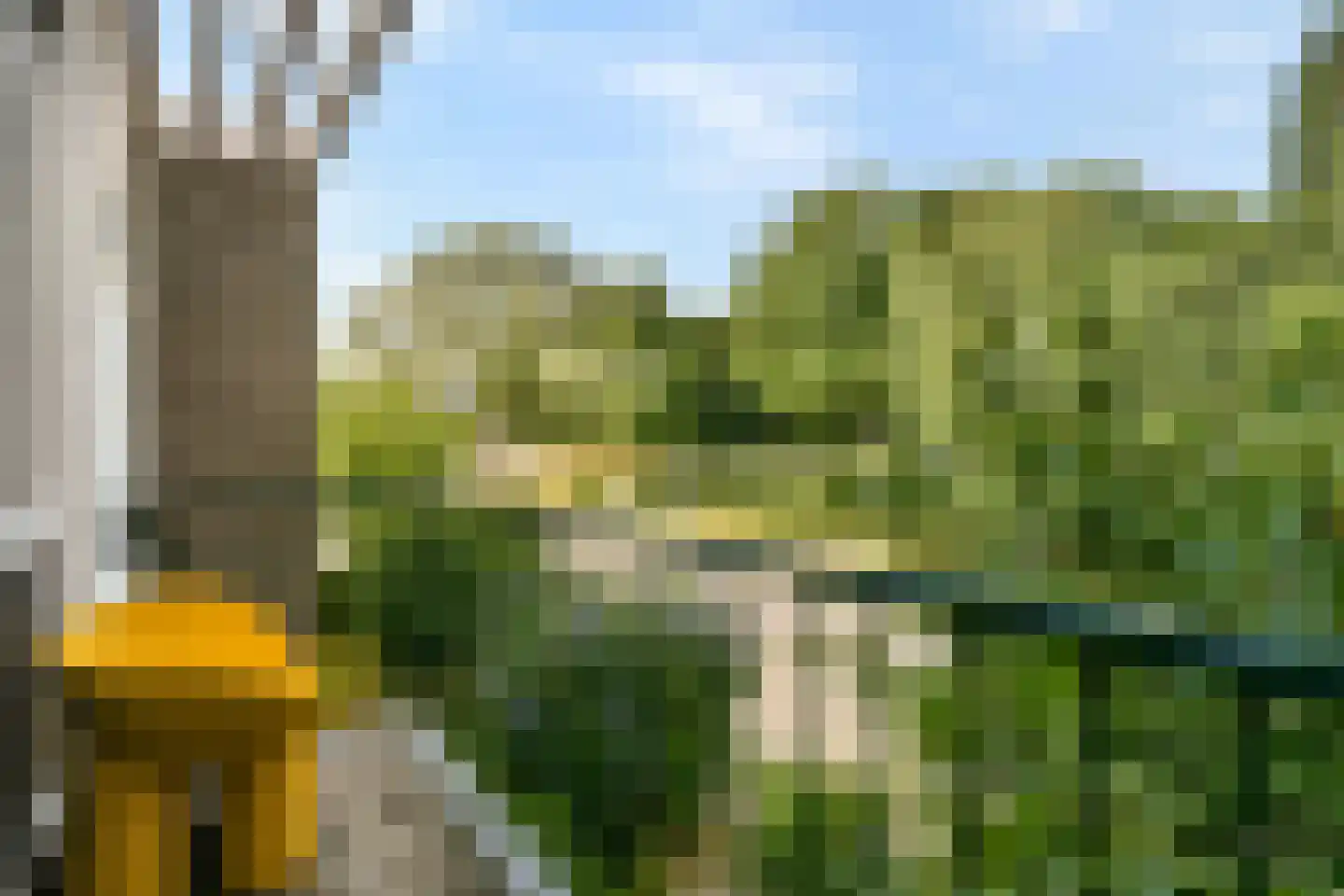 Edelweisslaan 16 Rotterdam thumbnail 26