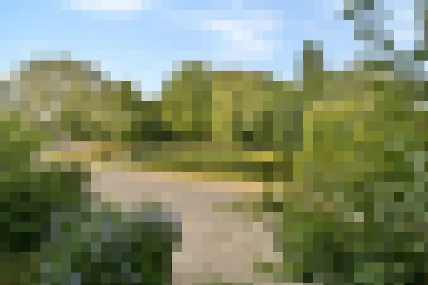 Edelweisslaan 16 Rotterdam thumbnail 27