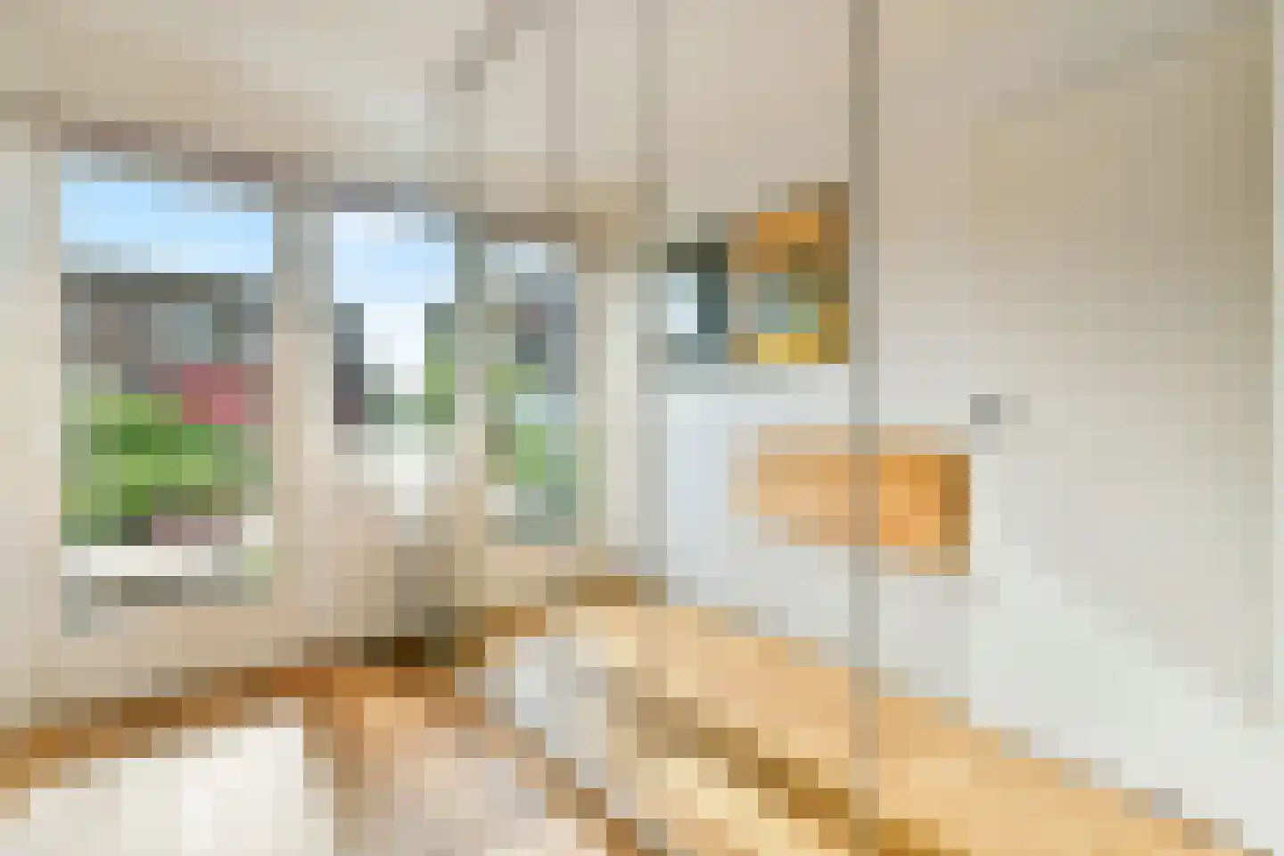 Edelweisslaan 16 Rotterdam thumbnail 32