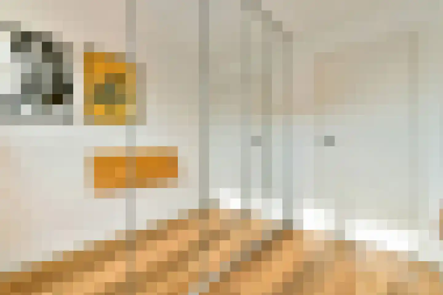 Edelweisslaan 16 Rotterdam thumbnail 33