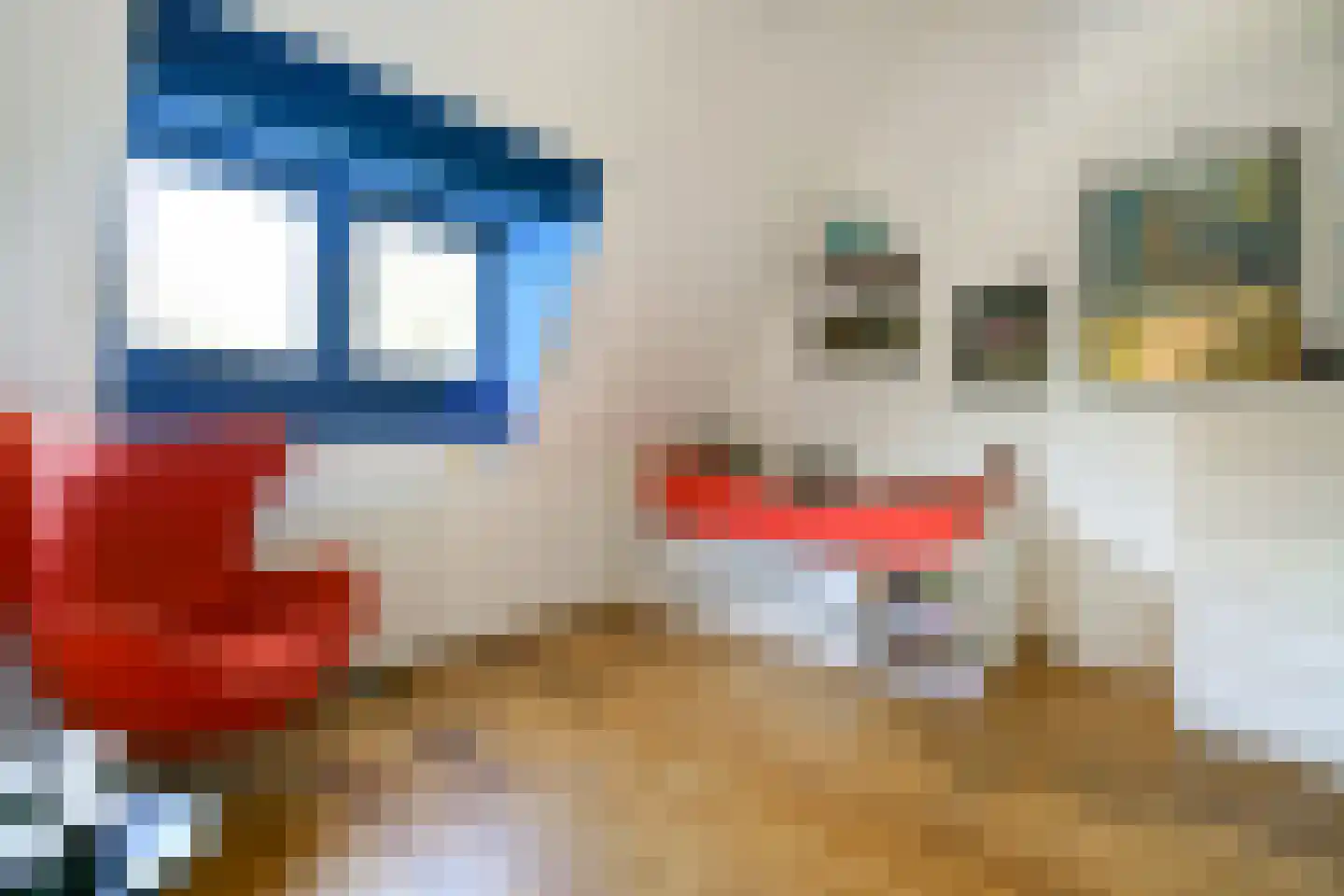 Edelweisslaan 16 Rotterdam thumbnail 37