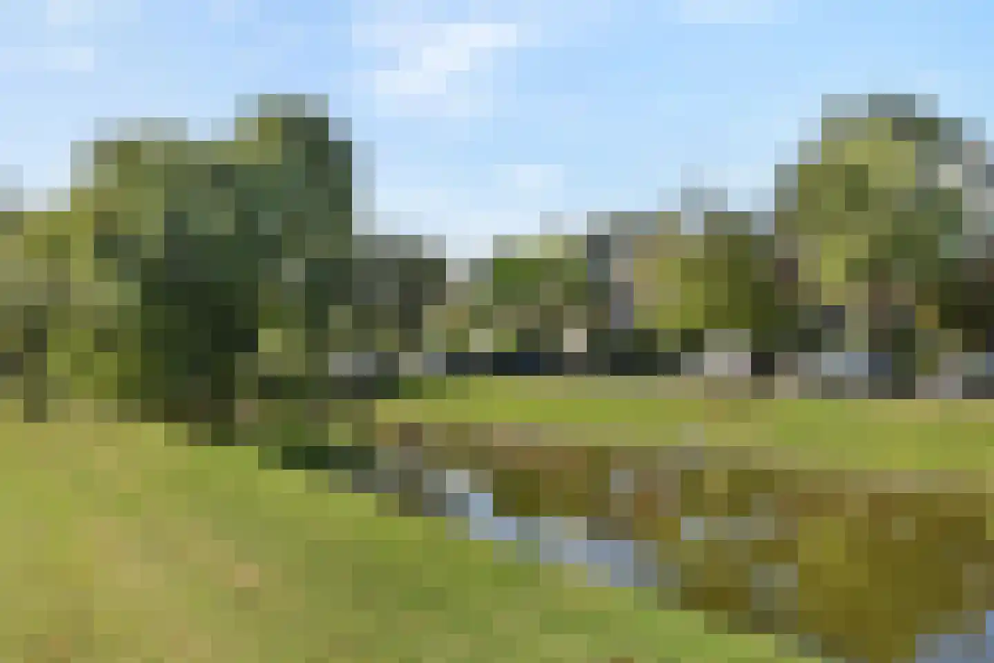 Edelweisslaan 16 Rotterdam thumbnail 39