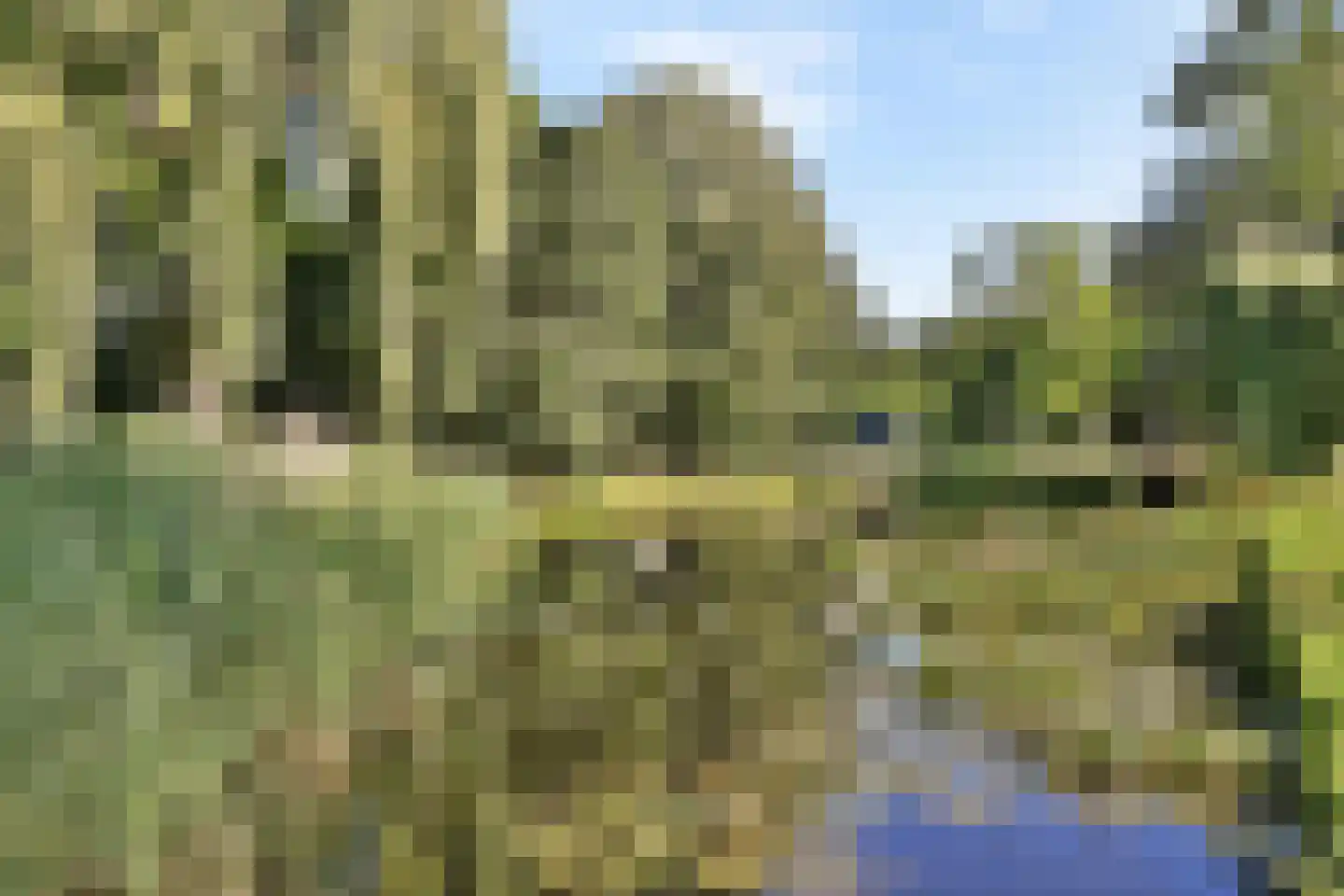 Edelweisslaan 16 Rotterdam thumbnail 40