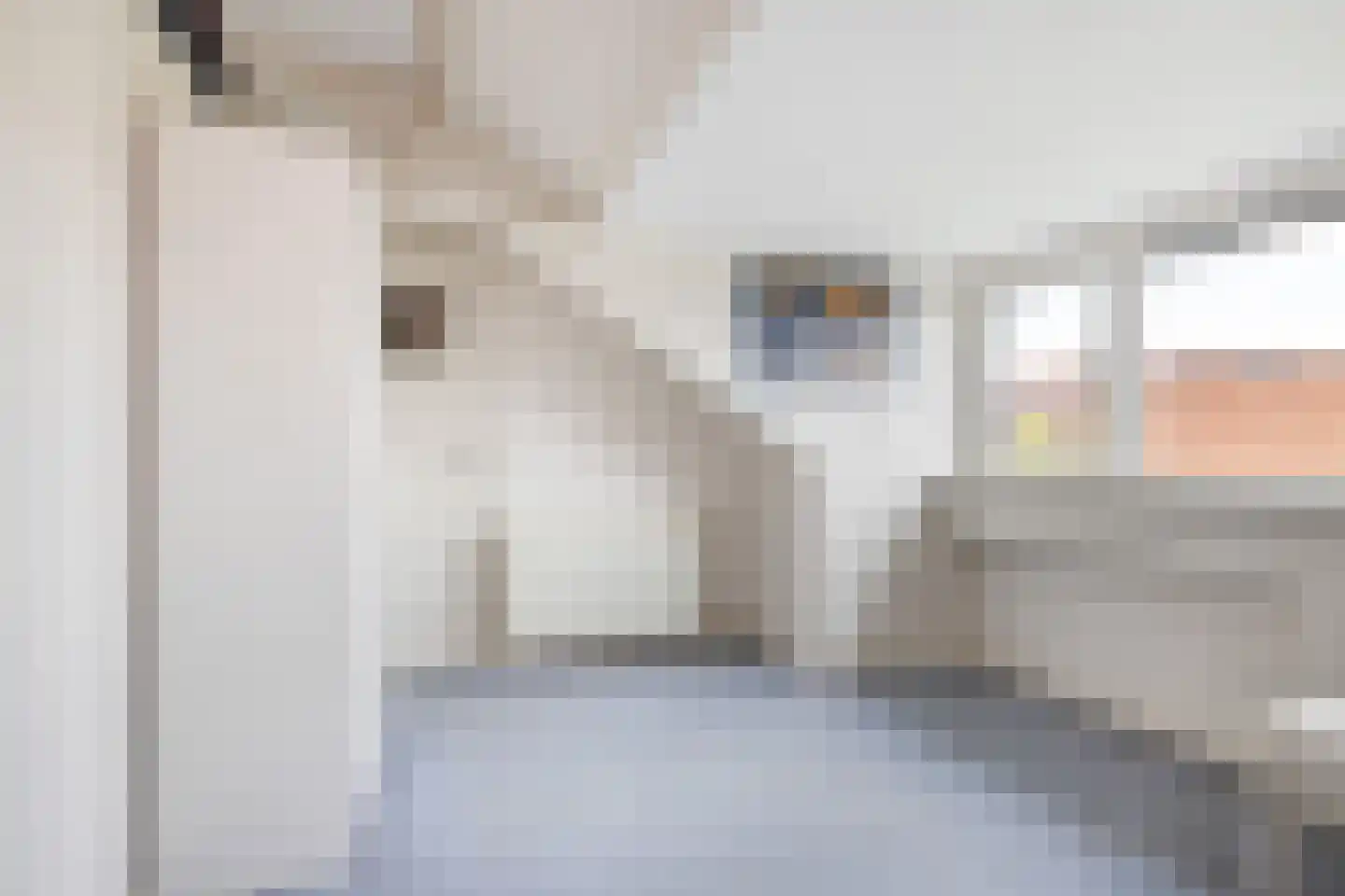 Edelweisslaan 28 Rotterdam thumbnail 33