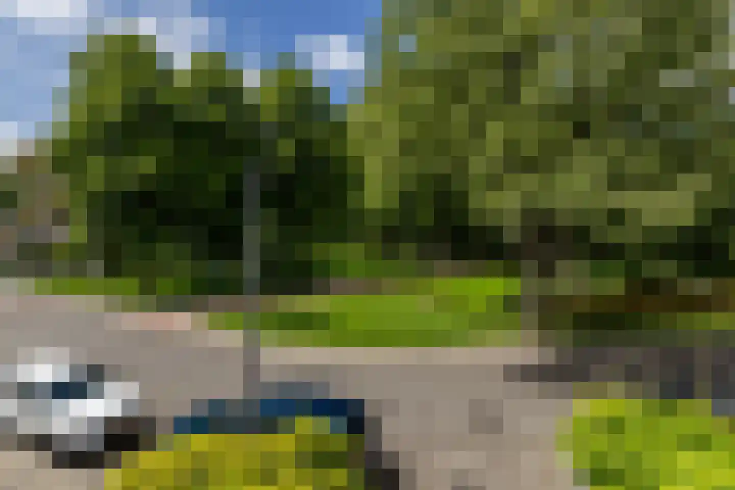 Edelweisslaan 28 Rotterdam thumbnail 36