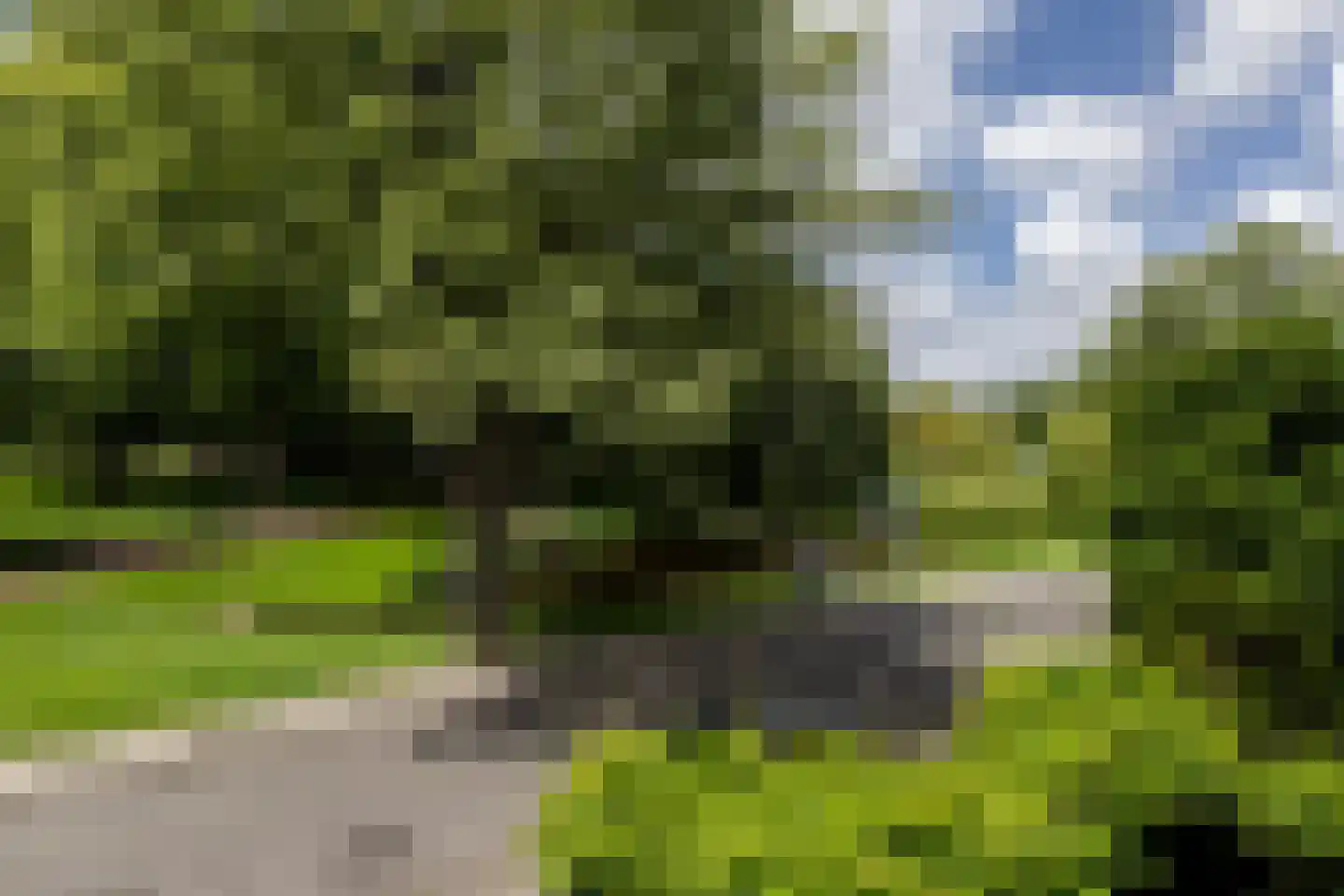 Edelweisslaan 28 Rotterdam thumbnail 37
