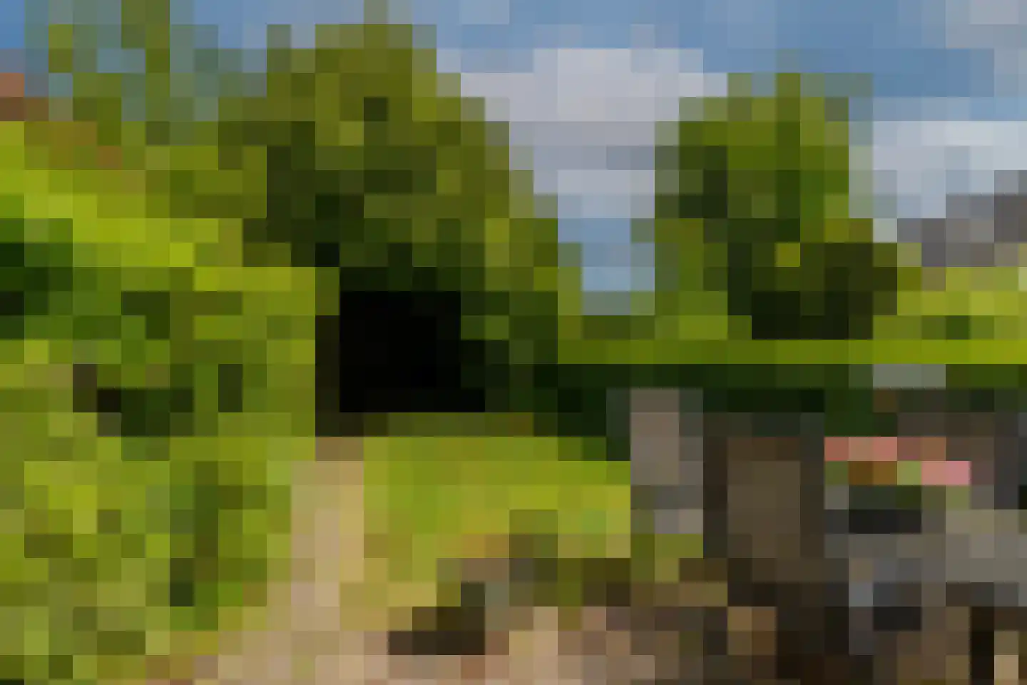 Edelweisslaan 28 Rotterdam thumbnail 38