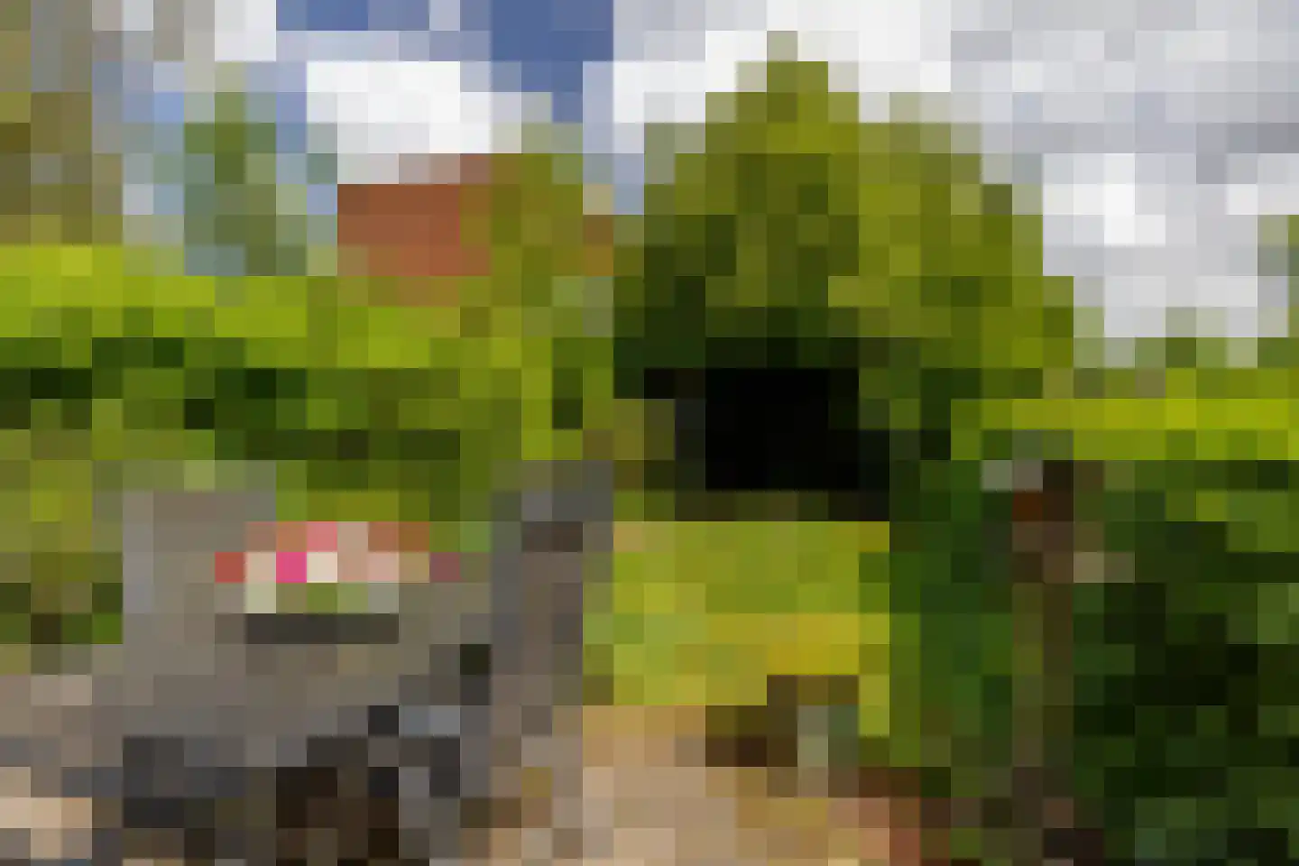 Edelweisslaan 28 Rotterdam thumbnail 39