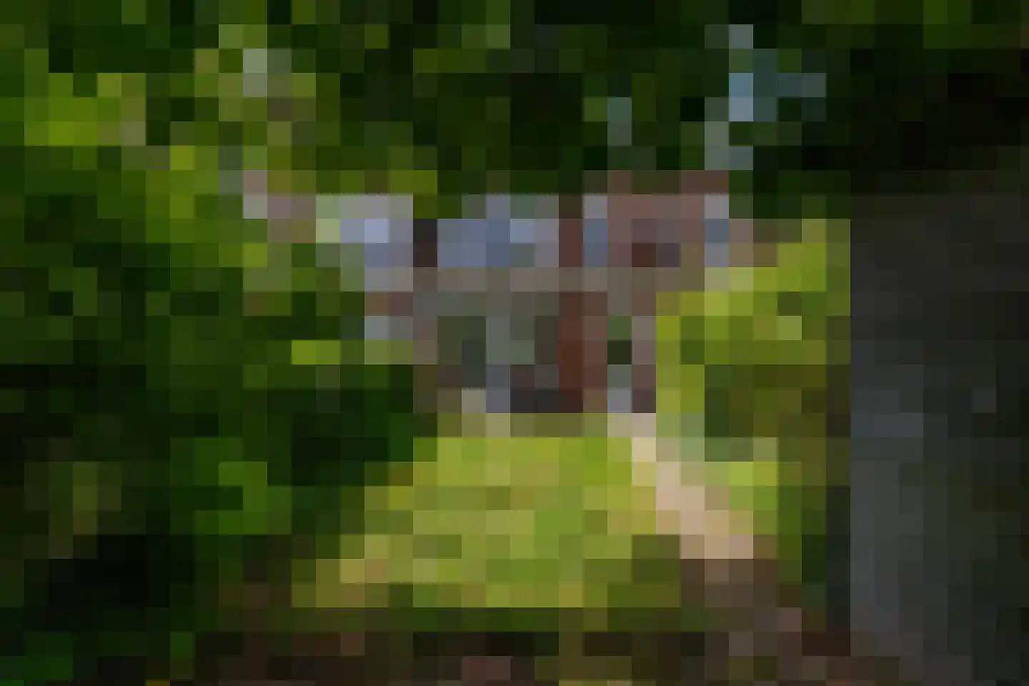 Edelweisslaan 28 Rotterdam thumbnail 43