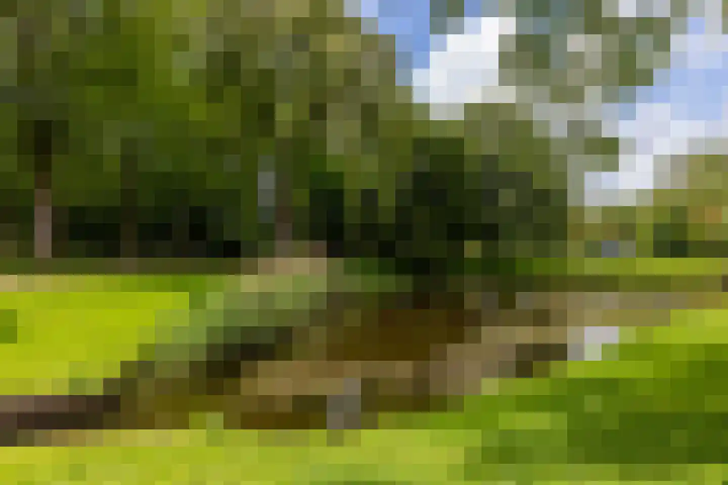 Edelweisslaan 28 Rotterdam thumbnail 44