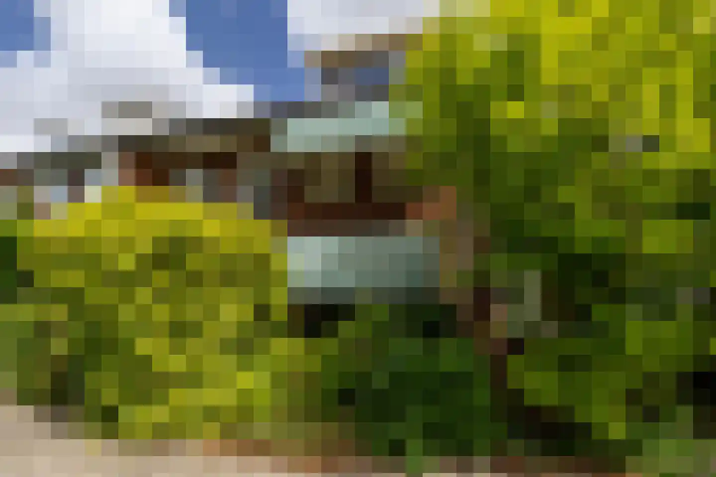Edelweisslaan 28 Rotterdam thumbnail 48
