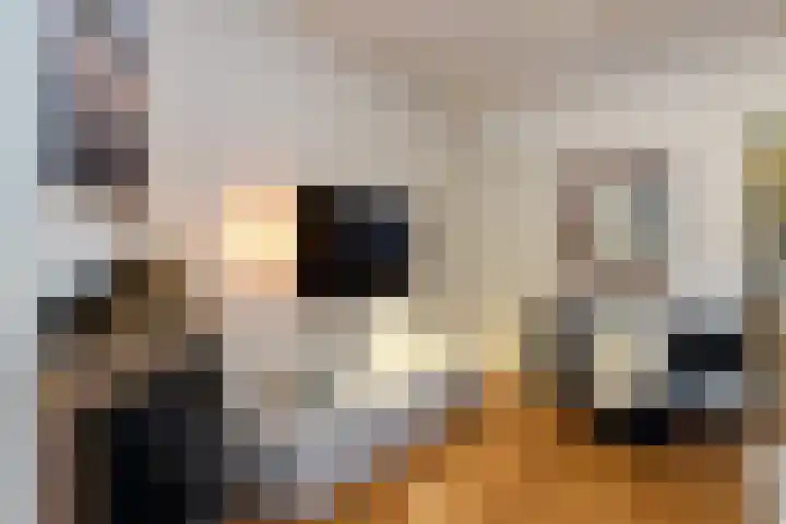 Edelweisslaan 31 Apeldoorn thumbnail 10