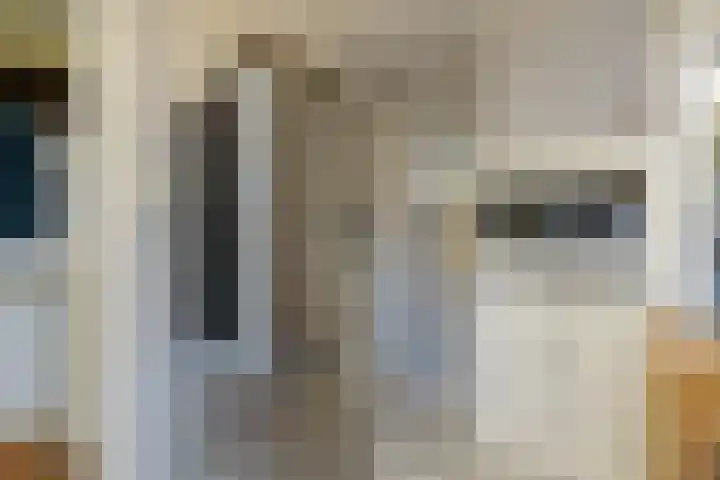 Edelweisslaan 31 Apeldoorn thumbnail 17
