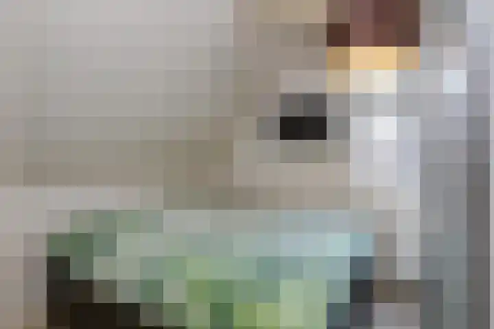 Edelweisslaan 31 Apeldoorn thumbnail 22