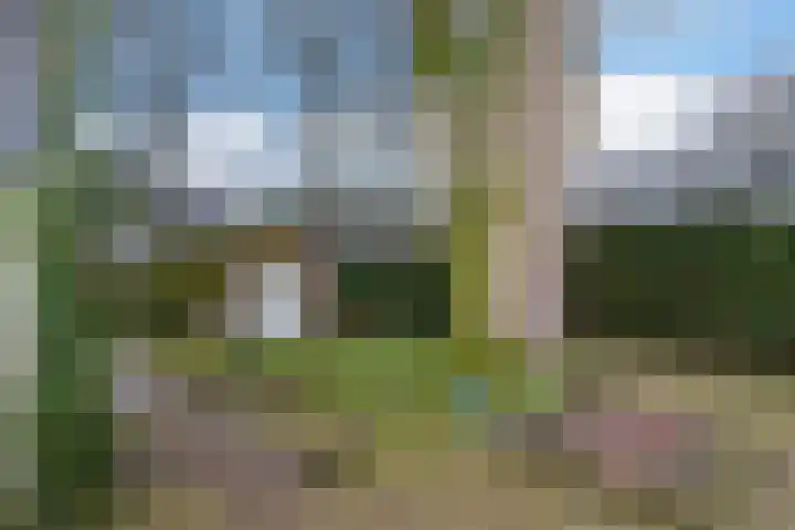 Edelweisslaan 31 Apeldoorn thumbnail 23
