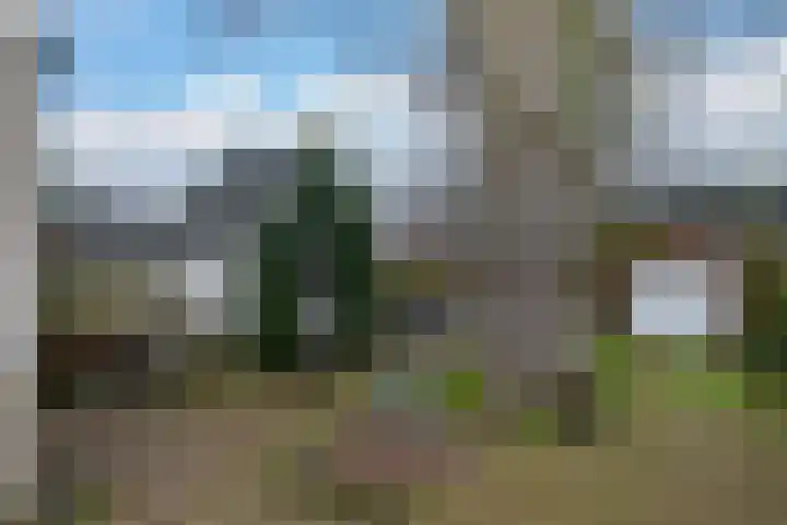Edelweisslaan 31 Apeldoorn thumbnail 24