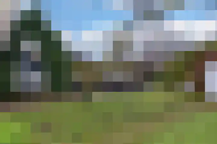 Edelweisslaan 31 Apeldoorn thumbnail 25