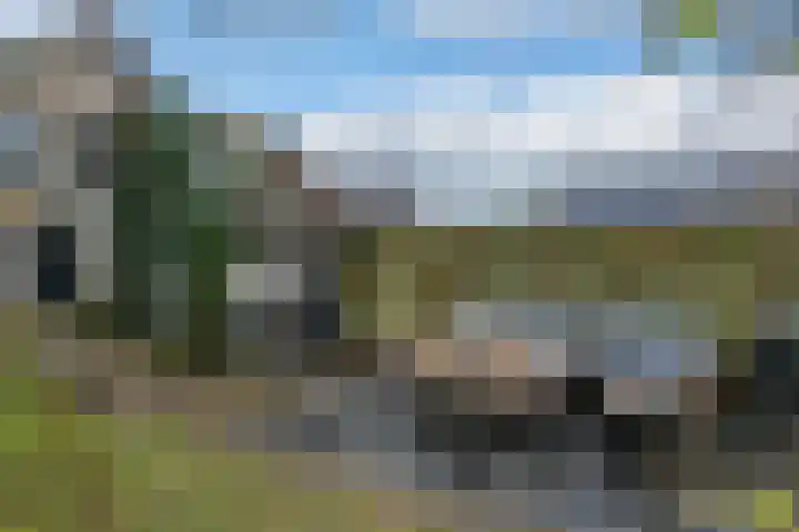 Edelweisslaan 31 Apeldoorn thumbnail 26