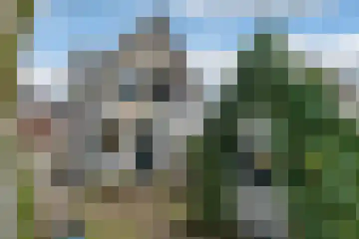 Edelweisslaan 31 Apeldoorn thumbnail 27