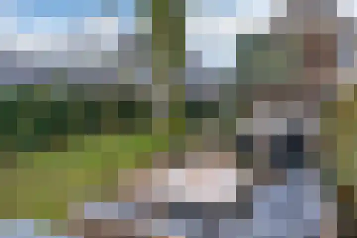 Edelweisslaan 31 Apeldoorn thumbnail 28