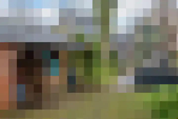 Edelweisslaan 31 Apeldoorn thumbnail 29