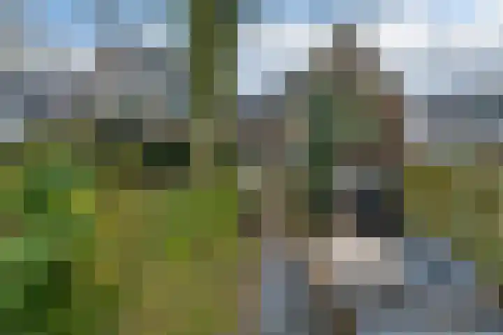 Edelweisslaan 31 Apeldoorn thumbnail 31