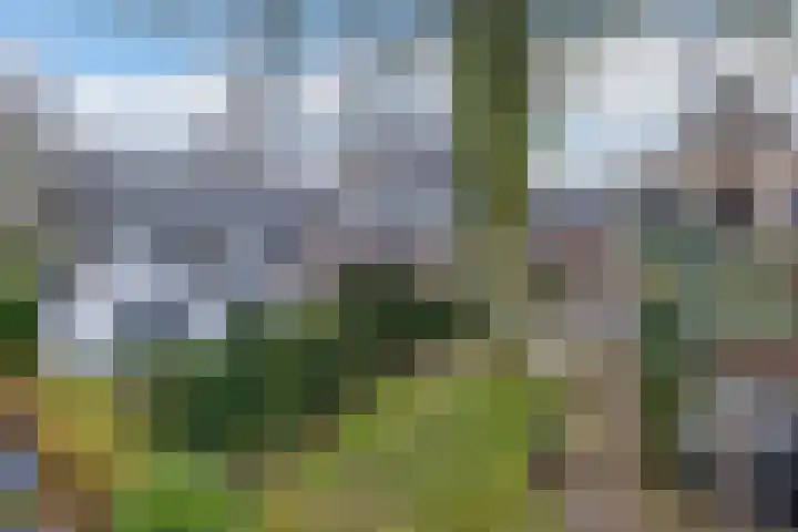 Edelweisslaan 31 Apeldoorn thumbnail 32
